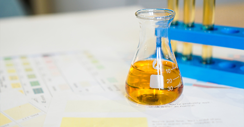 ক্রমাগত R&D এবং নতুন পণ্য শেয়ারিং পরিষেবা